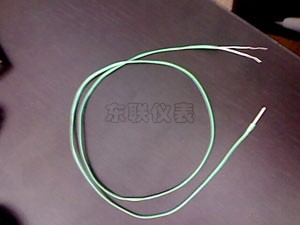 微型热电阻元件